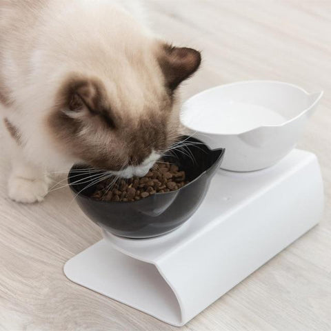 Anti-Vomiting Orthopedic Cat Bowl-Veeddydropshipping