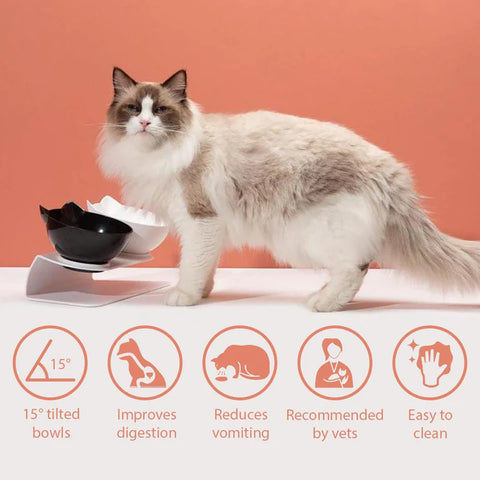 Anti-Vomiting Orthopedic Cat Bowl-Veeddydropshipping