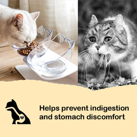 Anti-Vomiting Orthopedic Cat Bowl-Veeddydropshipping