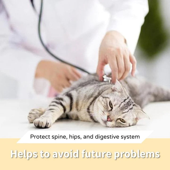 Anti-Vomiting Orthopedic Cat Bowl-Veeddydropshipping