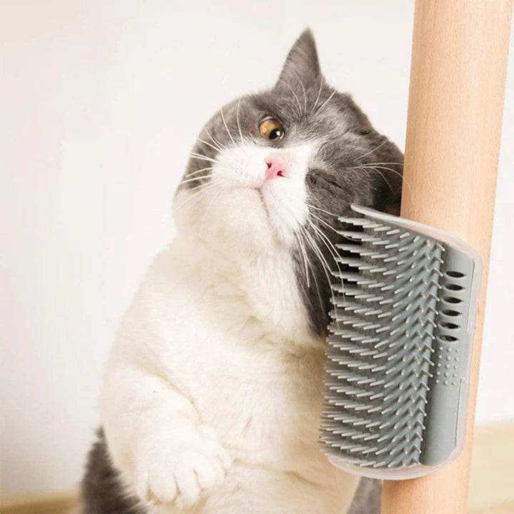 Cat Self Groomer Brush-Veeddydropshipping