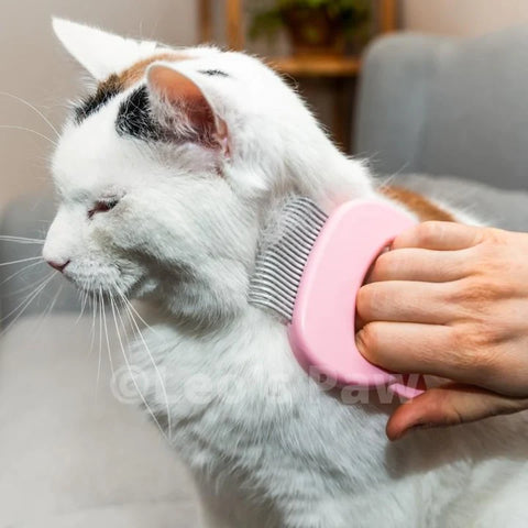 Cat Hair Removal Massaging Shell Comb-Veeddydropshipping