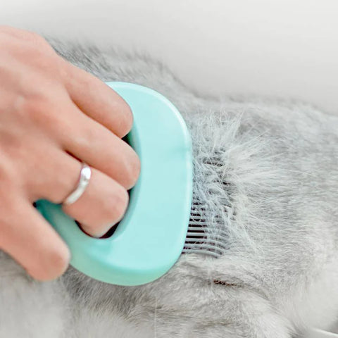 Cat Hair Removal Massaging Shell Comb-Veeddydropshipping