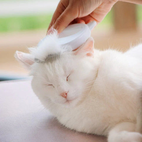 Cat Hair Removal Massaging Shell Comb-Veeddydropshipping
