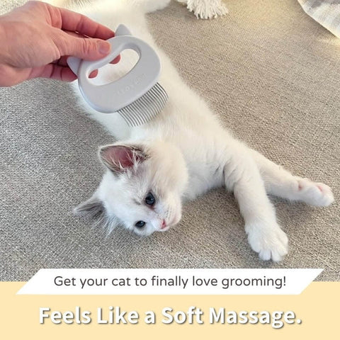 Cat Hair Removal Massaging Shell Comb-Veeddydropshipping