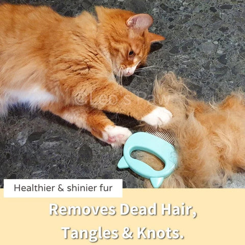 Cat Hair Removal Massaging Shell Comb-Veeddydropshipping