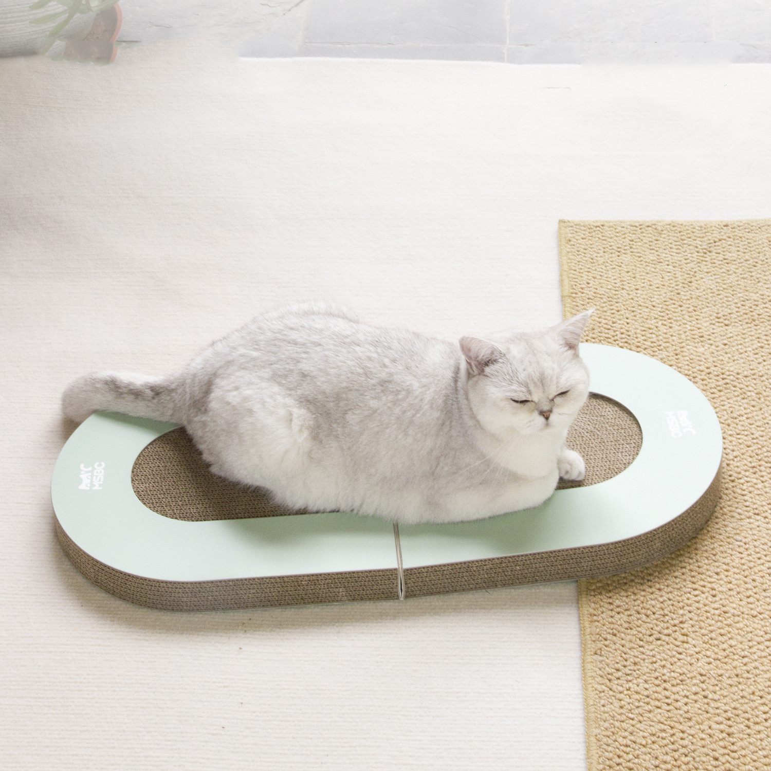 CorrugatedPaperFoldingCatGrabBoardWithBallPetSuppliesCatToysPetProducts-Veeddydropshipping-3