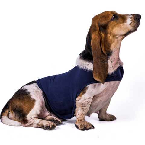    DogClothes_DogAnxiety_ComfortClothing_WarmJacket_Vest-Veeddydropshipping-3