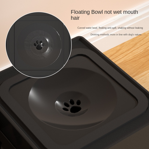    DoubleBowlStainlessSteelStandAdjustableHeightForDogCatPetProducts-Veeddydropshipping-7