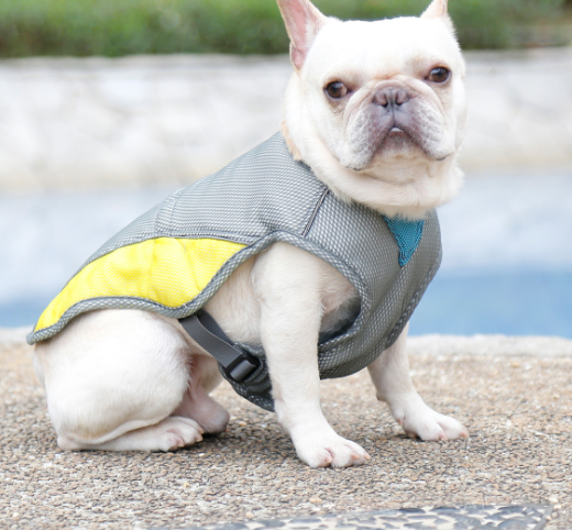 HeatstrokeAndCoolingDogClothes-Veeddydropshipping-1