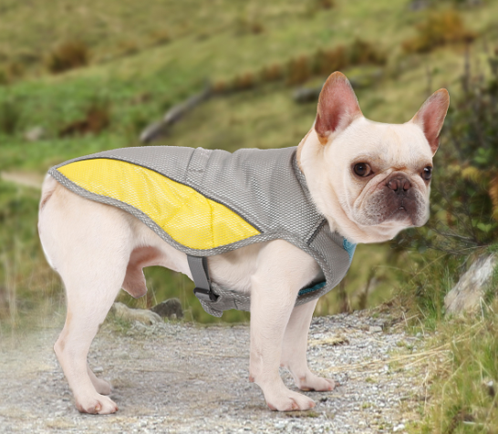    HeatstrokeAndCoolingDogClothes-Veeddydropshipping-3