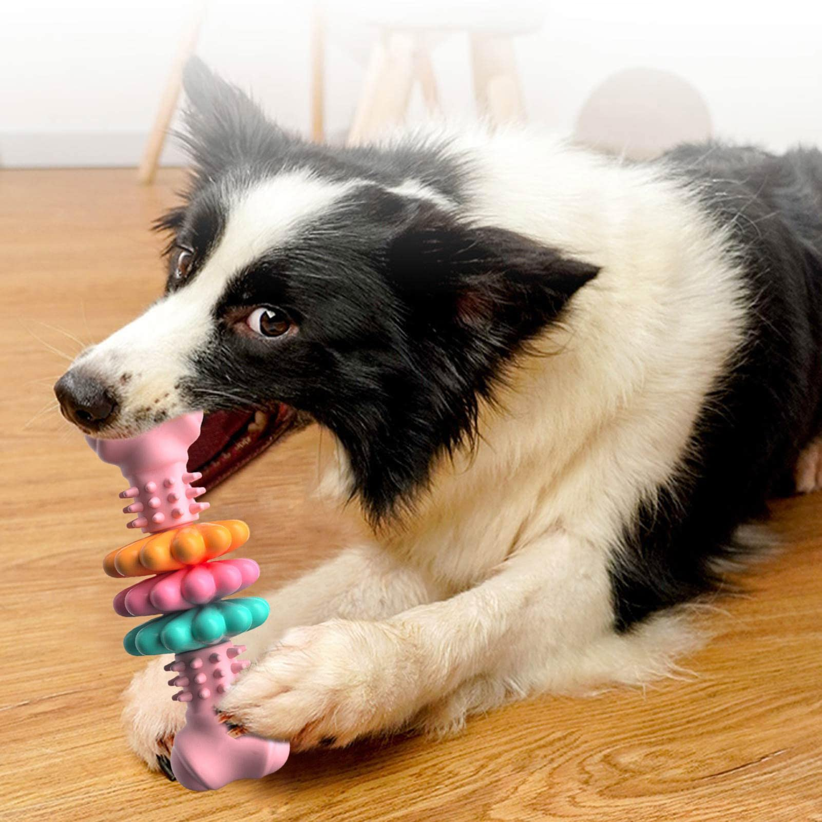      IndestructibleTPRBoneChewToy_Bite-Resistant_TeethCleaningToyforDogsinTeethingPeriod_PetProduct-Veeddydropshipping-2