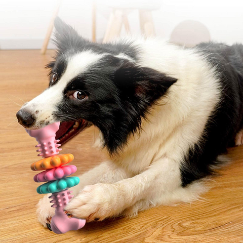      IndestructibleTPRBoneChewToy_Bite-Resistant_TeethCleaningToyforDogsinTeethingPeriod_PetProduct-Veeddydropshipping-2