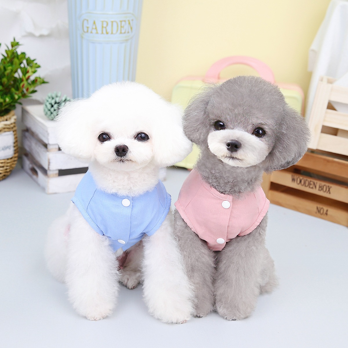 PetDogVestGoodLuckChestBack-Veeddydropshipping-1