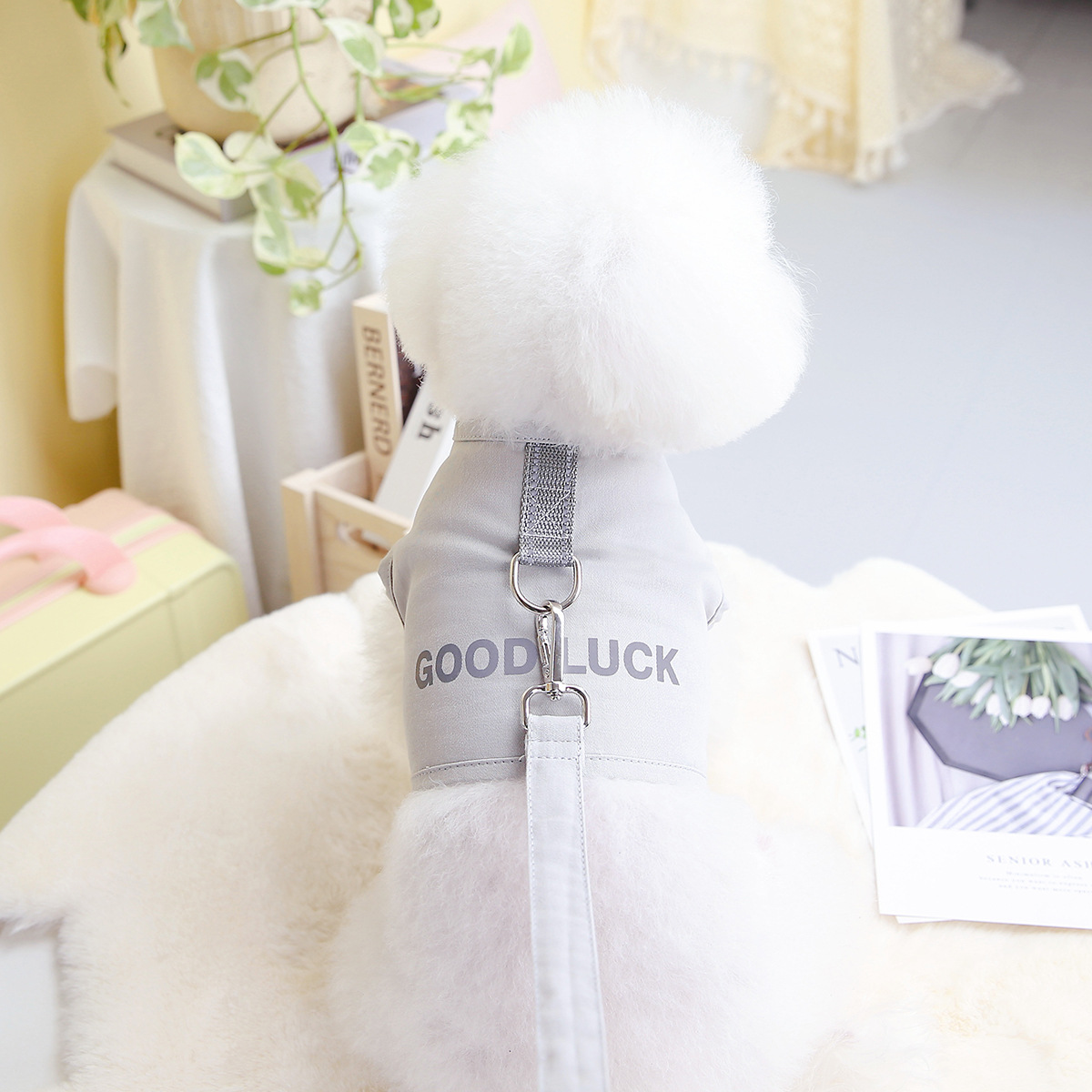    PetDogVestGoodLuckChestBack-Veeddydropshipping-9