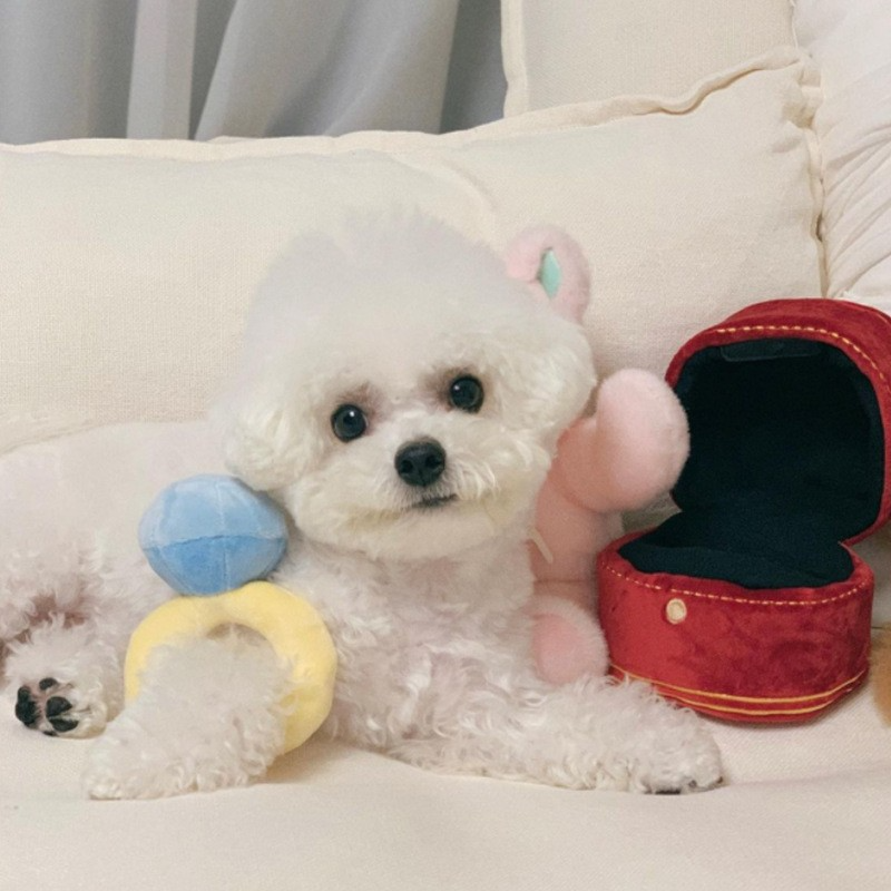 PetProductsCreativeRingBoxPlushToyLoveDiamondRingCaseStuffedPetChewToy-Veeddydropshipping-1