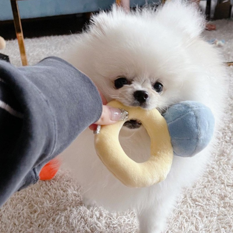PetProductsCreativeRingBoxPlushToyLoveDiamondRingCaseStuffedPetChewToy-Veeddydropshipping-2