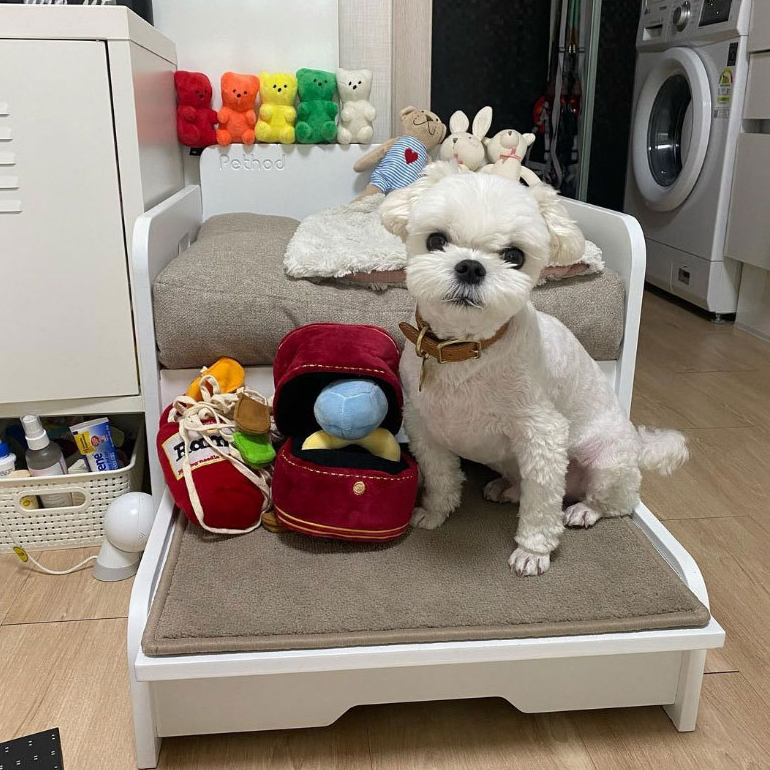 PetProductsCreativeRingBoxPlushToyLoveDiamondRingCaseStuffedPetChewToy-Veeddydropshipping-3
