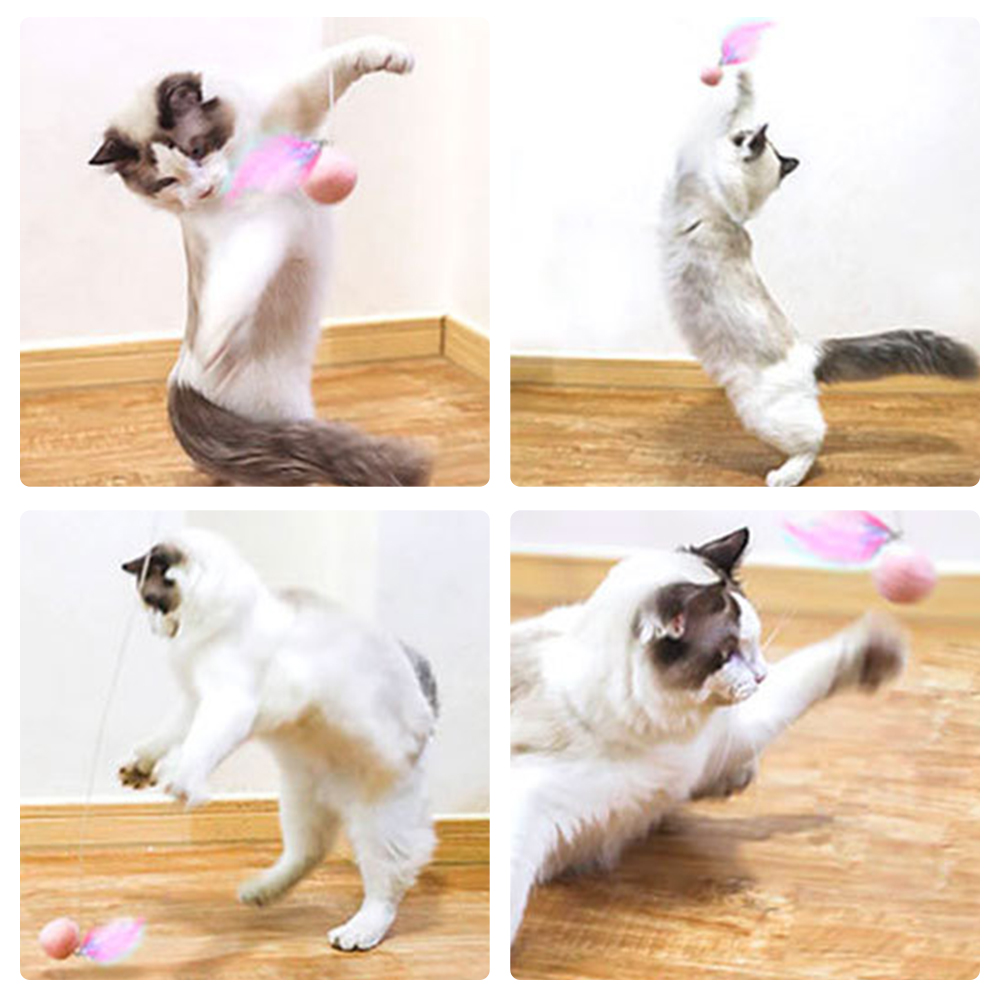    PetProductsGravityautomatictelescopicfunnycatstick-Veeddydropshipping-4