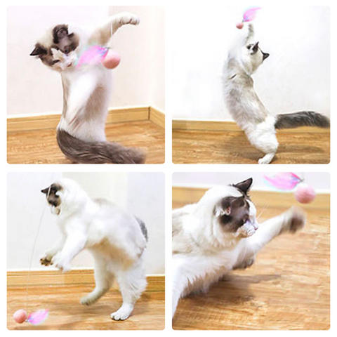    PetProductsGravityautomatictelescopicfunnycatstick-Veeddydropshipping-4