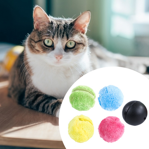 PetProductsMagicRollerBallActivationAutomaticBallDogCatInteractiveFunnyChew-Veeddydropshipping-1