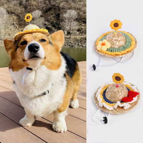 PetProductsPetCuteHatHeadwearDecorativePuppyPetSupplies-Veeddydropshipping-1