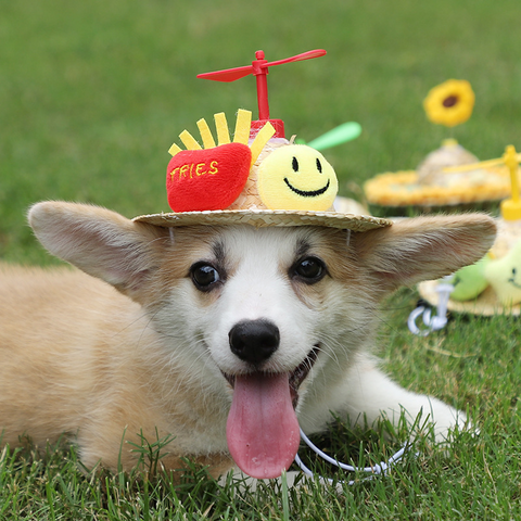 PetProductsPetCuteHatHeadwearDecorativePuppyPetSupplies-Veeddydropshipping-2