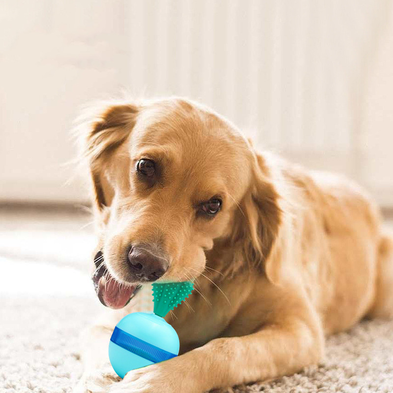 PetProductsPetDoesNotFallDownTheLeakageOfFoodBallToys-Veeddydropshipping-1