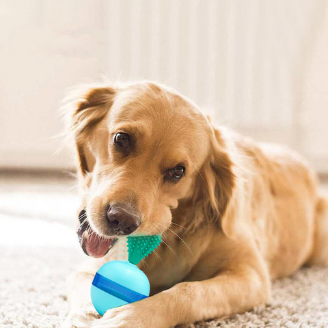 PetProductsPetDoesNotFallDownTheLeakageOfFoodBallToys-Veeddydropshipping-1