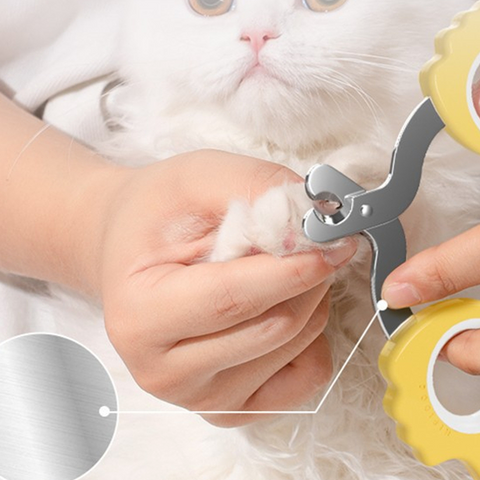 PetProductsPetMacaronNailClippersPuppyDogUniversal-Veeddydropshipping-2