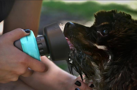 Pet Products Pet Dog Foldable Water Bottle Water Dispenser-Veeddydropshipping