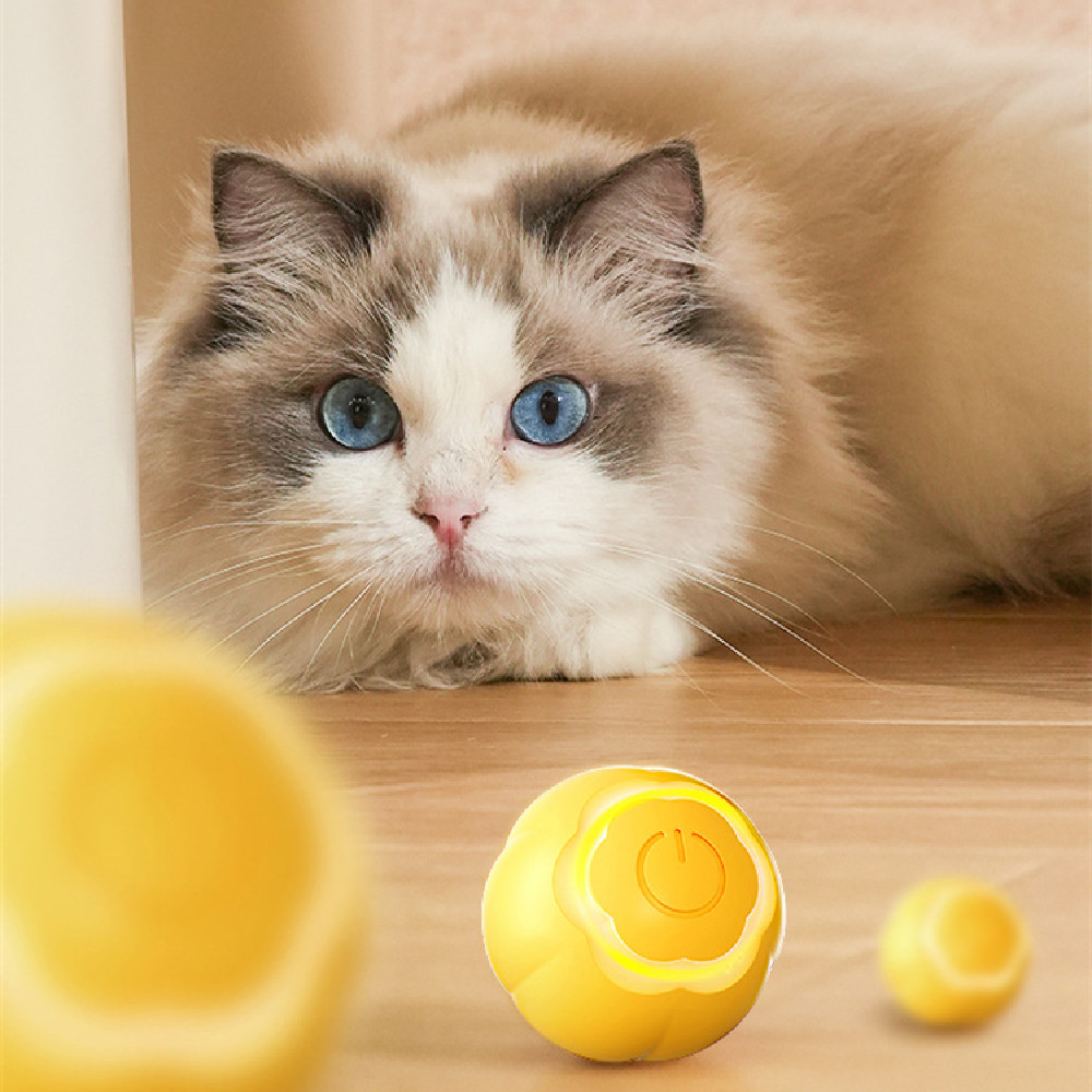 PetProductsPetSmartRollingBallCatToyBite-resistantBoredomRelief-Veeddydropshipping-1