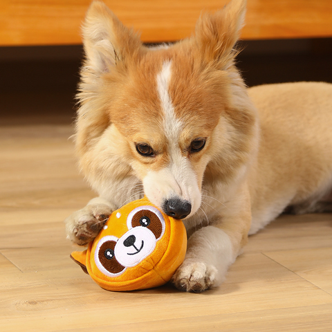 PetProductsPetVocalTeethingPlushToysBiteResistantTeethCleaning-Veeddydropshipping-1