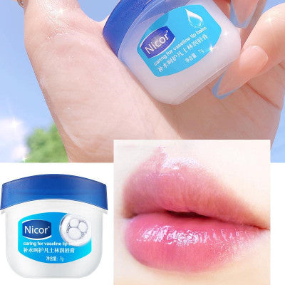 Stylish And Simple Lip Balm To Prevent Chapped-2