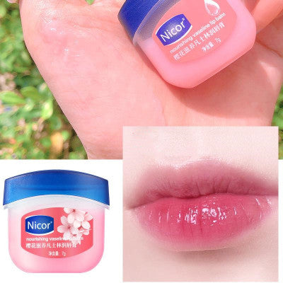 Stylish And Simple Lip Balm To Prevent Chapped-5