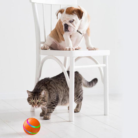 Smart Interactive Dog Toy Ball For Puppy-HA01500-Veeddydropshipping