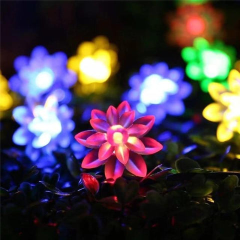Solar String Christmas Lights Outdoor 100LED Waterproof Flower Garden-TI00811-Veeddydropshipping