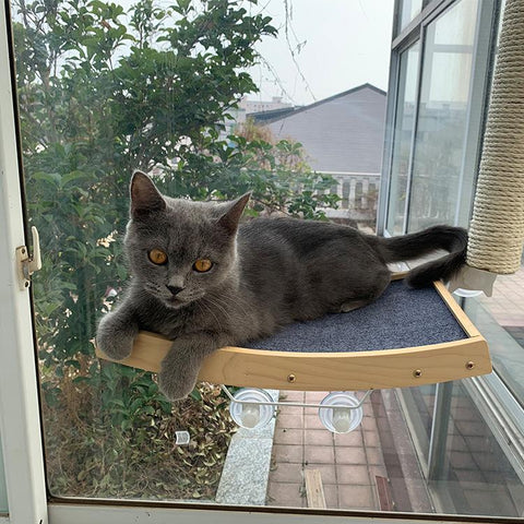 Wood Cat Scratching Board Hammock Suction Cup-HA01437-Veeddydropshipping