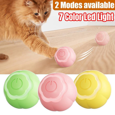 Upgrade Smart Interactive Cat Ball-HA01464-Veeddydropshipping