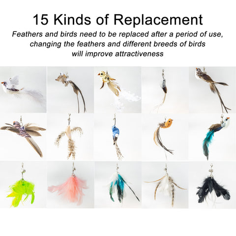 Handfree Bird/Feather Cat Wand with Bell-HA01381-Veeddydropshipping