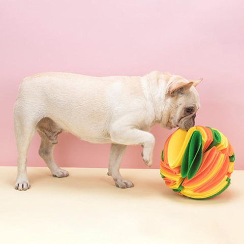 Dog Sniffing Ball Puzzle Toys Increase IQ-HA01520-Veeddydropshipping
