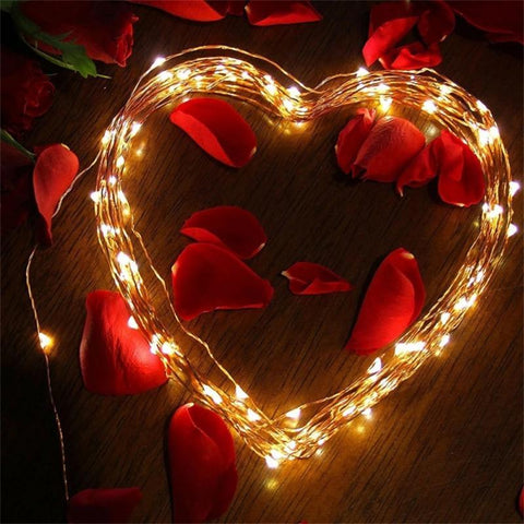 Solar Lighting Strings Outdoor Waterproof Fairy Garland String Lights-TI00920-Veeddydropshipping