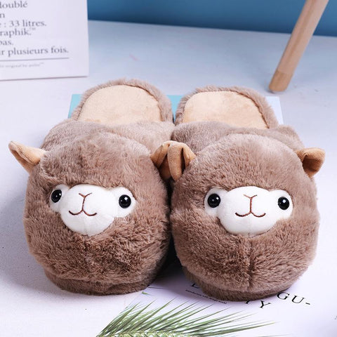 Women Winter Home Floor Shoes Female Warm Faux Fur House-BS01154-Veeddydropshipping