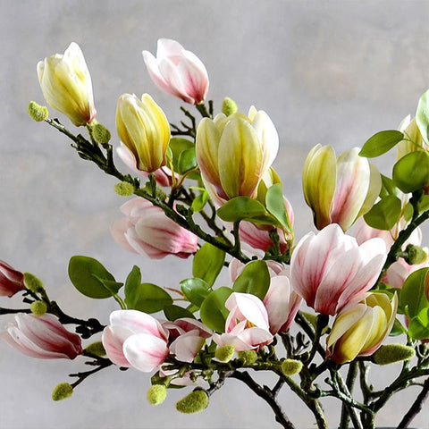 Artificial Magnolia Flower Branch For Home Decoration-HA00751-Veeddydropshipping