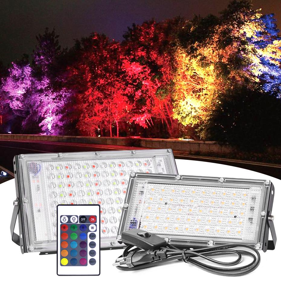 220V LED Floodlight Outdoor 100W 50W Waterproof 2835 RGB Warm Cold-TI00887-Veeddydropshipping
