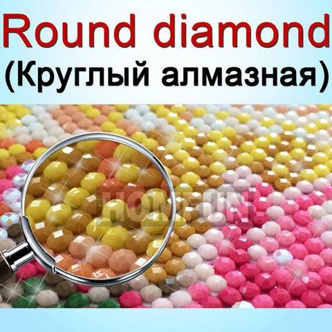 Diamond Painting 5D DIY Picture-HA00105-Veeddydropshipping
