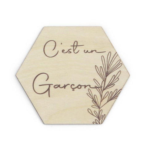 Baby Milestone Cards French Photo Card Newborn Keepsake Baby-TB00796-Veeddydropshipping