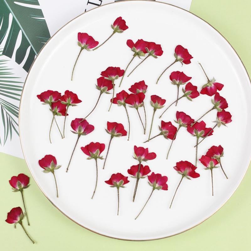 rose dried flowers all kinds of DIY dry flower-HA00672-Veeddydropshipping