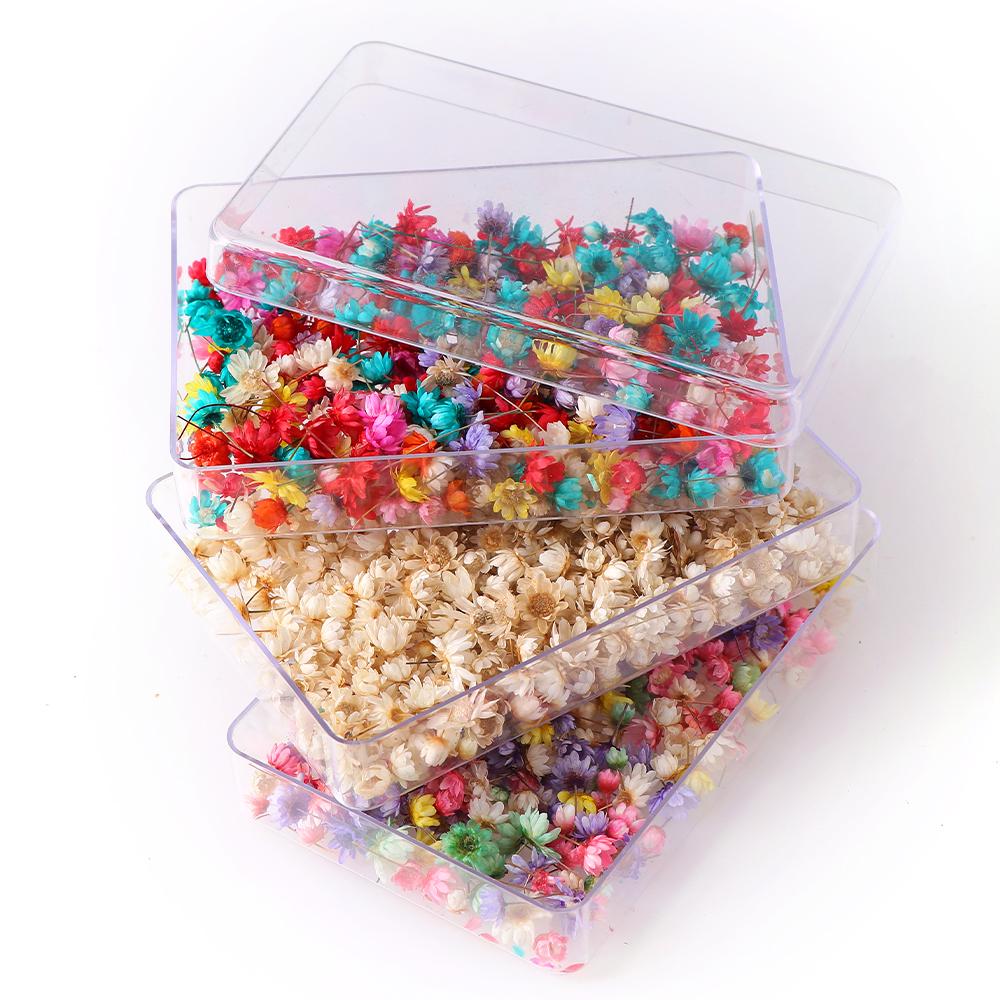 Decorative Dried Flower Mini Star Bouquet-HA00646-Veeddydropshipping