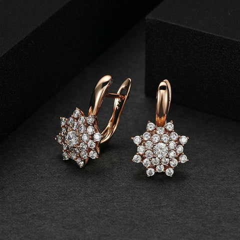 Circles Earrings Crystal Pendant 585 Earrings for Woman -JW01458-Veeddydropshipping
